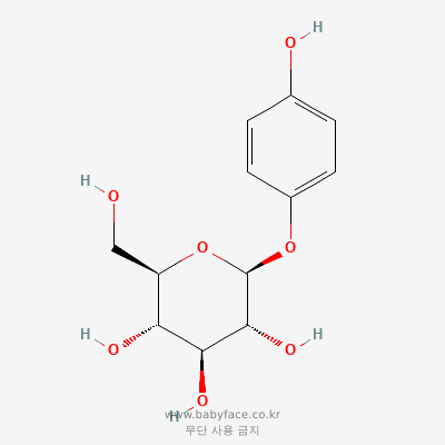 알부틴 화학구조 (PubChem CID 440936)